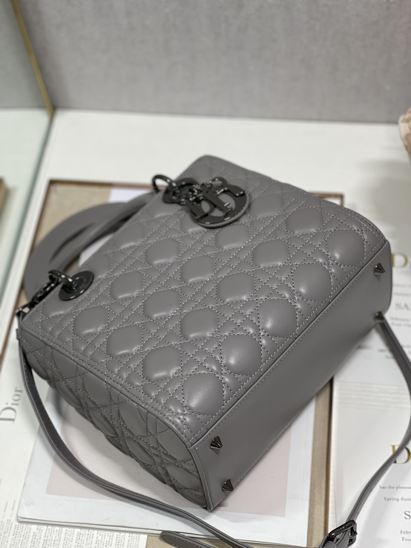 Medium Lady D10r Bag