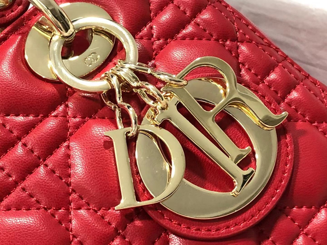Medium Lady D10r Bag