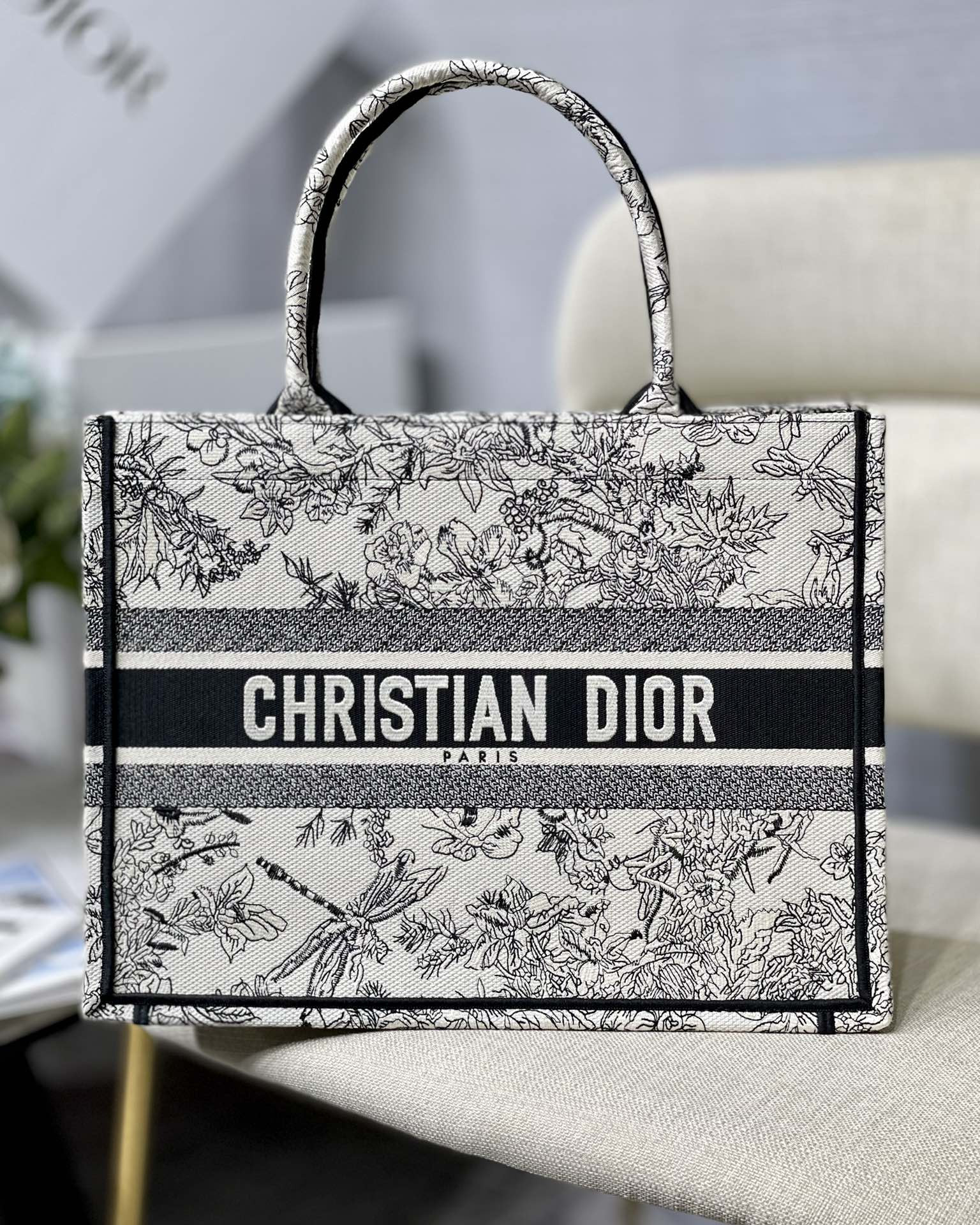 Medium D10r Book Tote