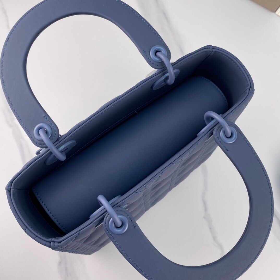 Medium Lady D10r Bag