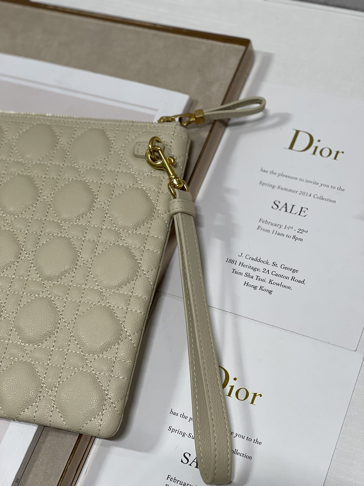 Large D10r Caro Daily Pouch