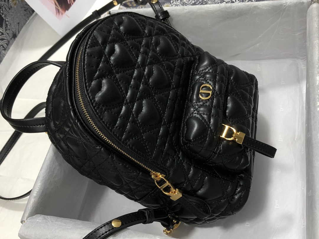 D10r Backpack
