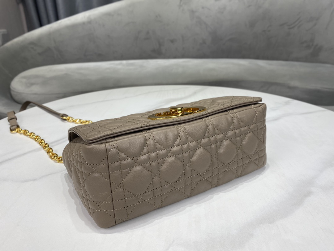 Medium D10r Caro Bag
