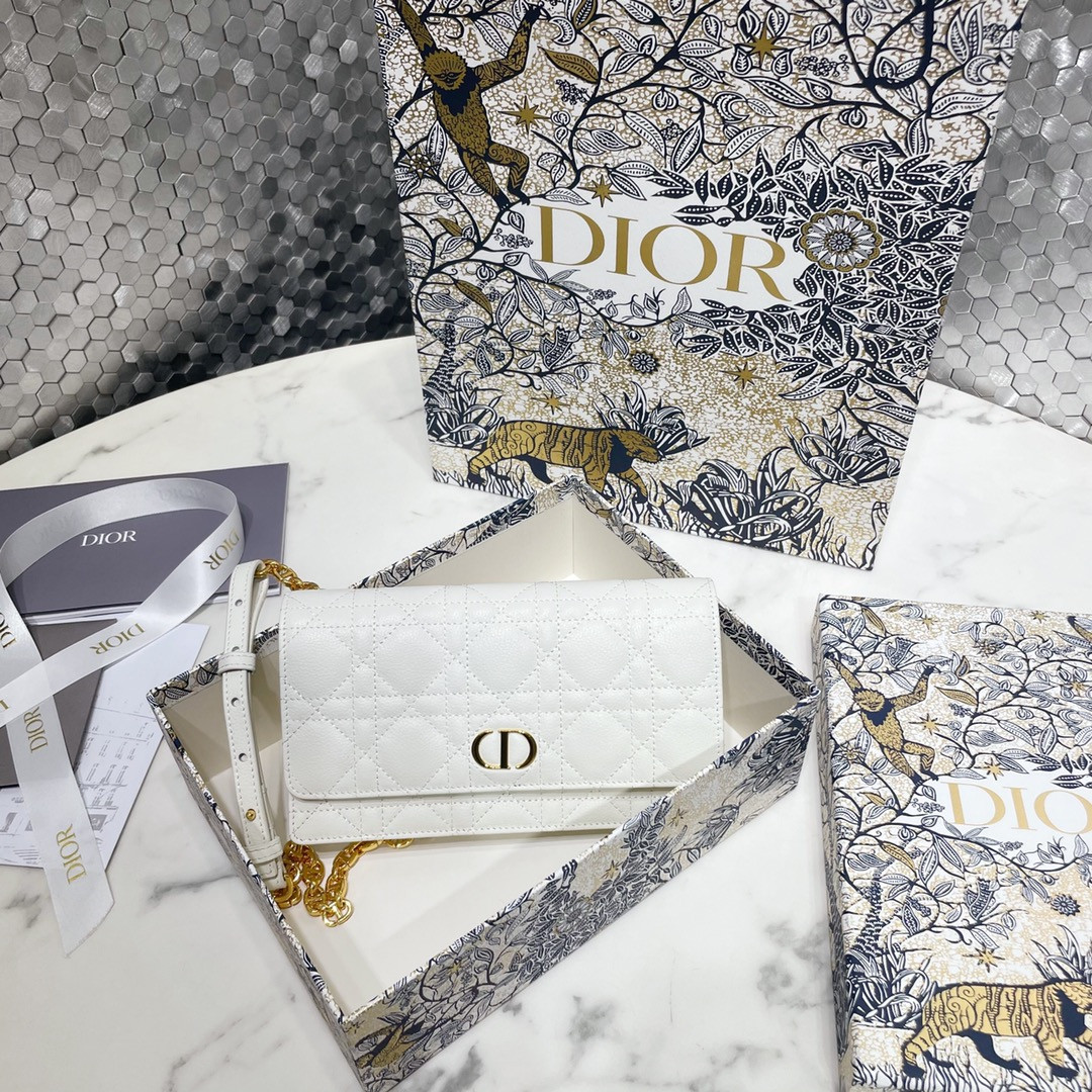D10r Caro Pouch