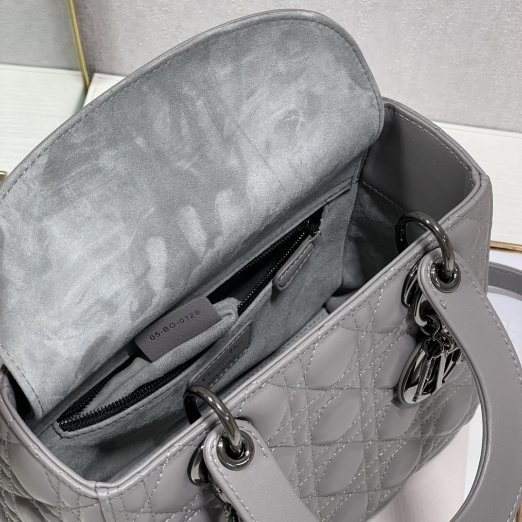 Medium Lady D10r Bag