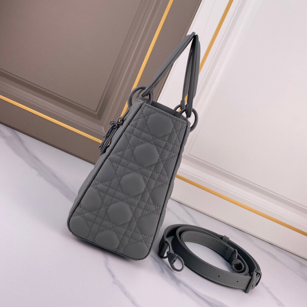 Medium Lady D10r Bag