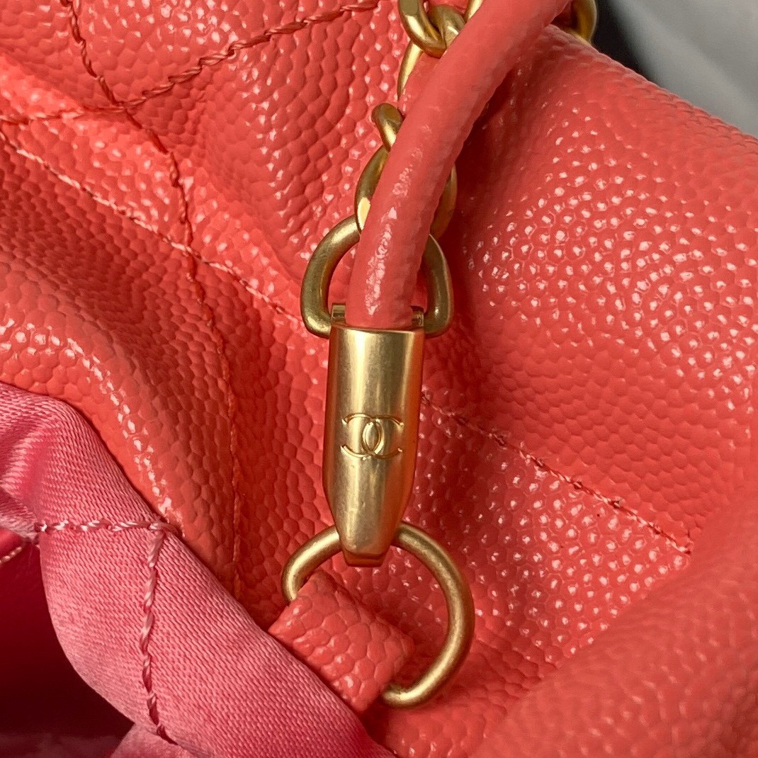 Chanle 22 Backpack Mini