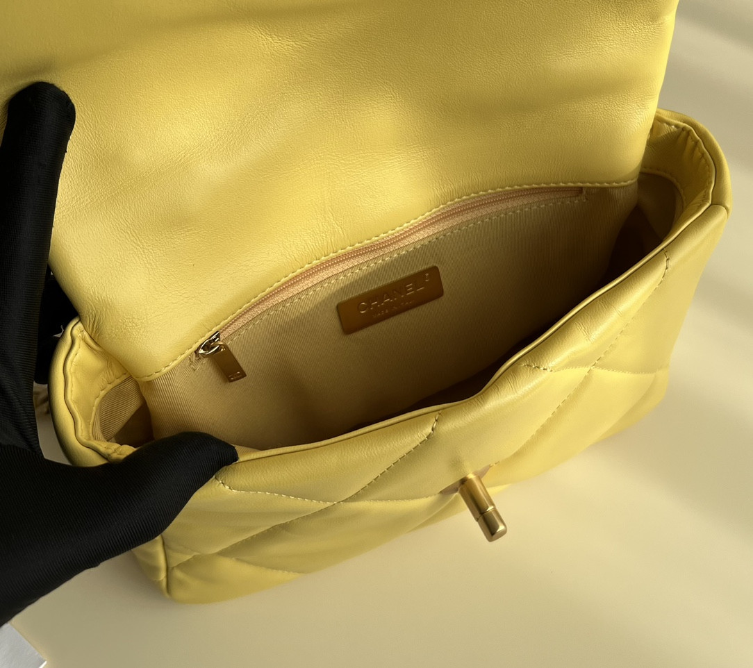 Chanle 19 Handbag