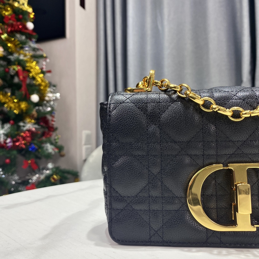 Small D10r Caro Bag