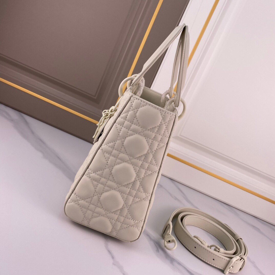 Medium Lady D10r Bag
