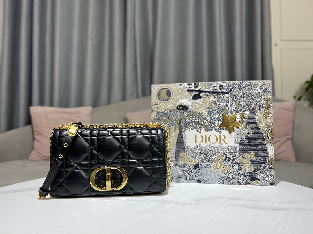 Medium D10r Caro Bag