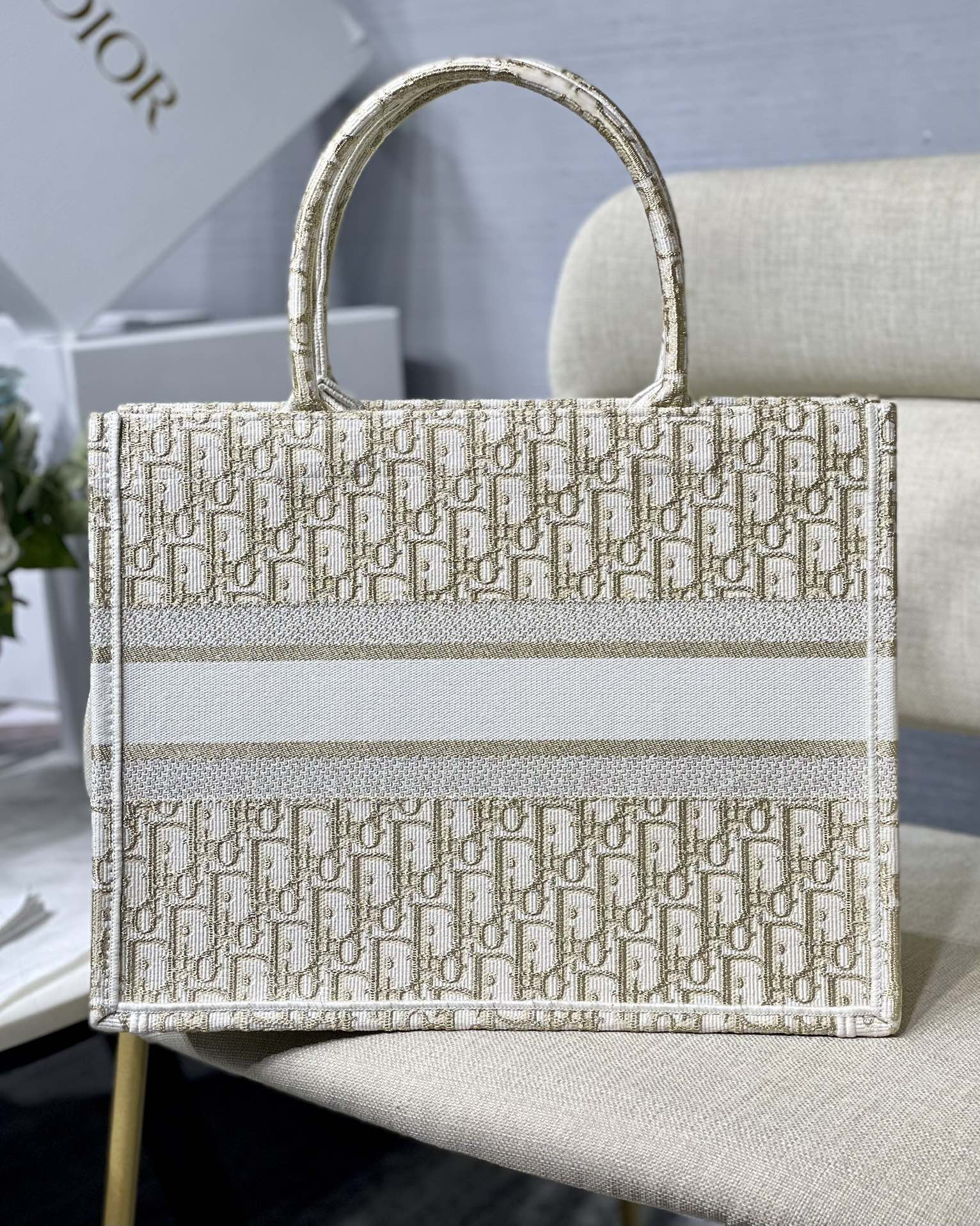 Medium D10r Book Tote