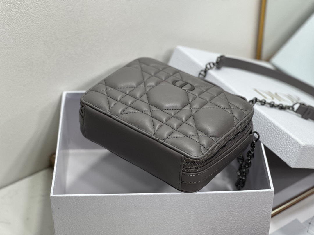 D10r Caro Box Bag