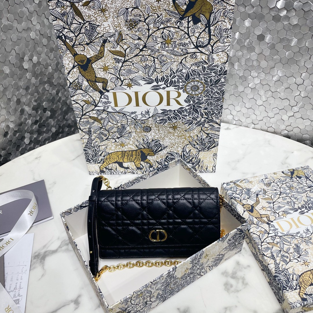 D10r Caro Pouch