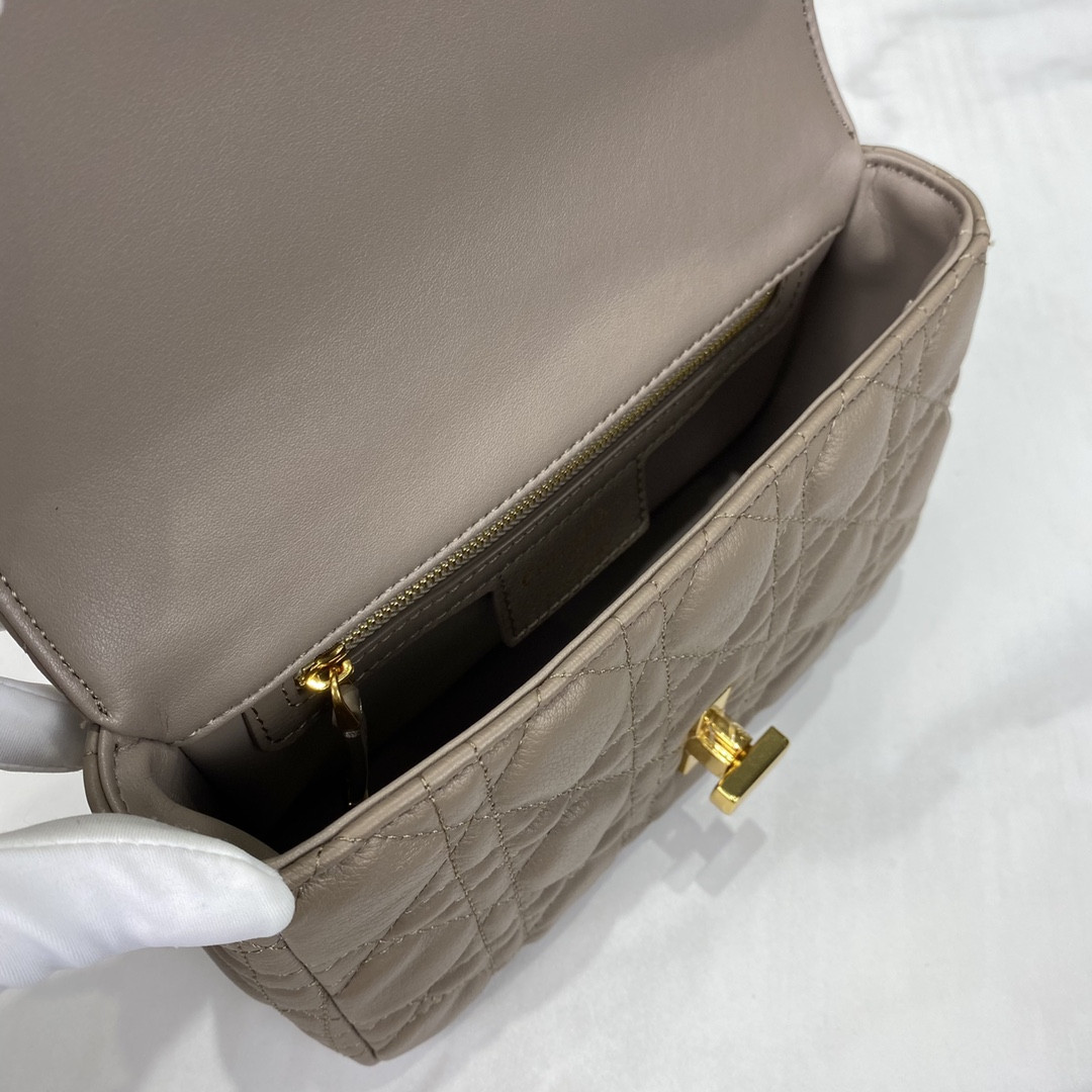 Small D10r Caro Bag