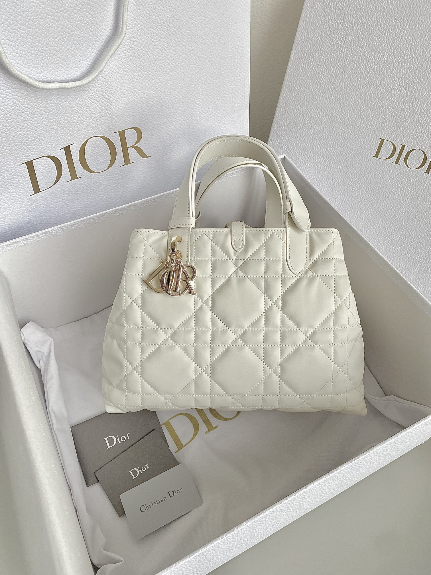 D10r Toujours Bag