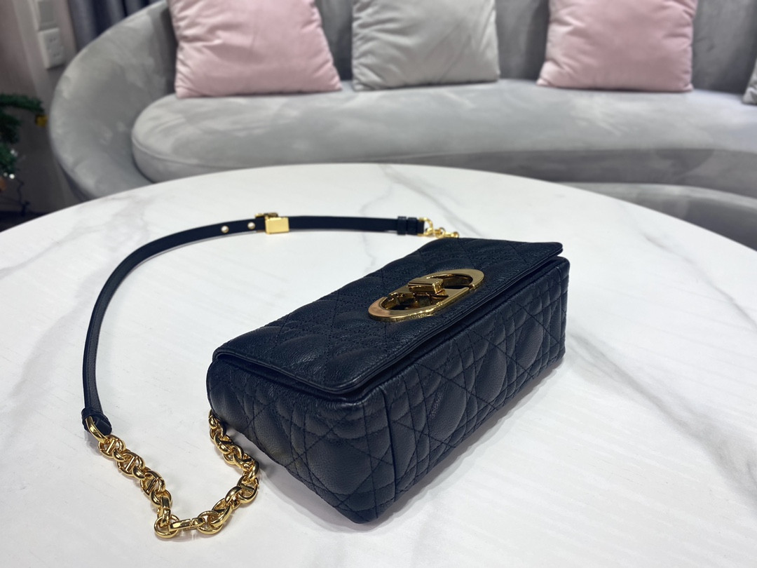 Small D10r Caro Bag