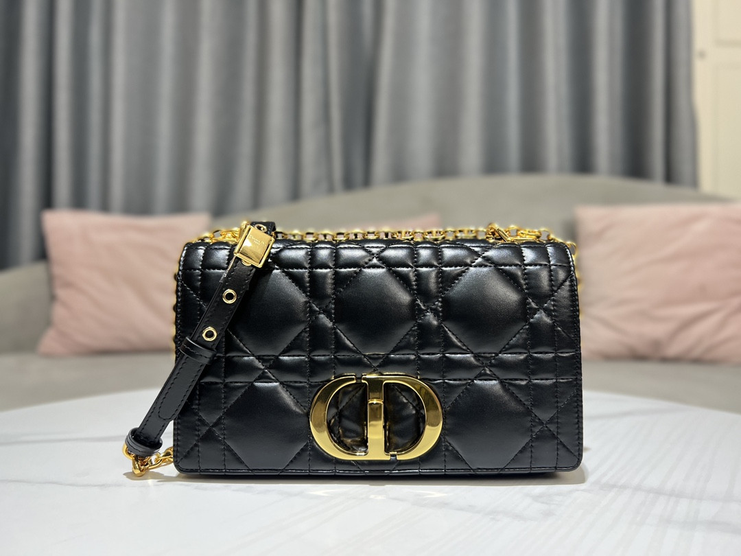 Medium D10r Caro Bag