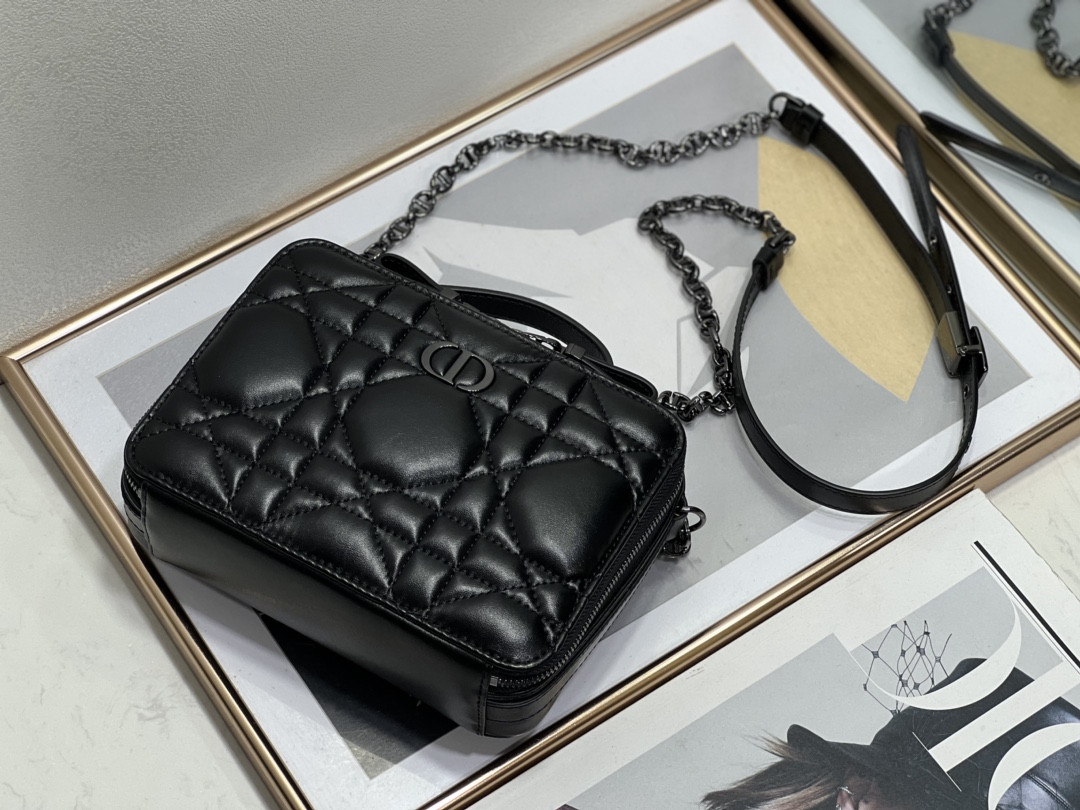 D10r Caro Box Bag