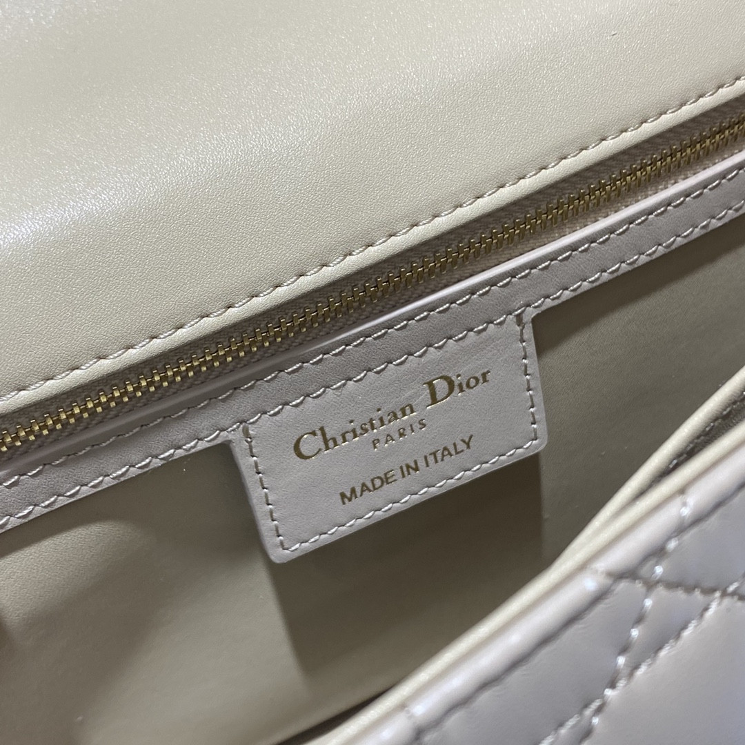 Medium D10r Caro Bag