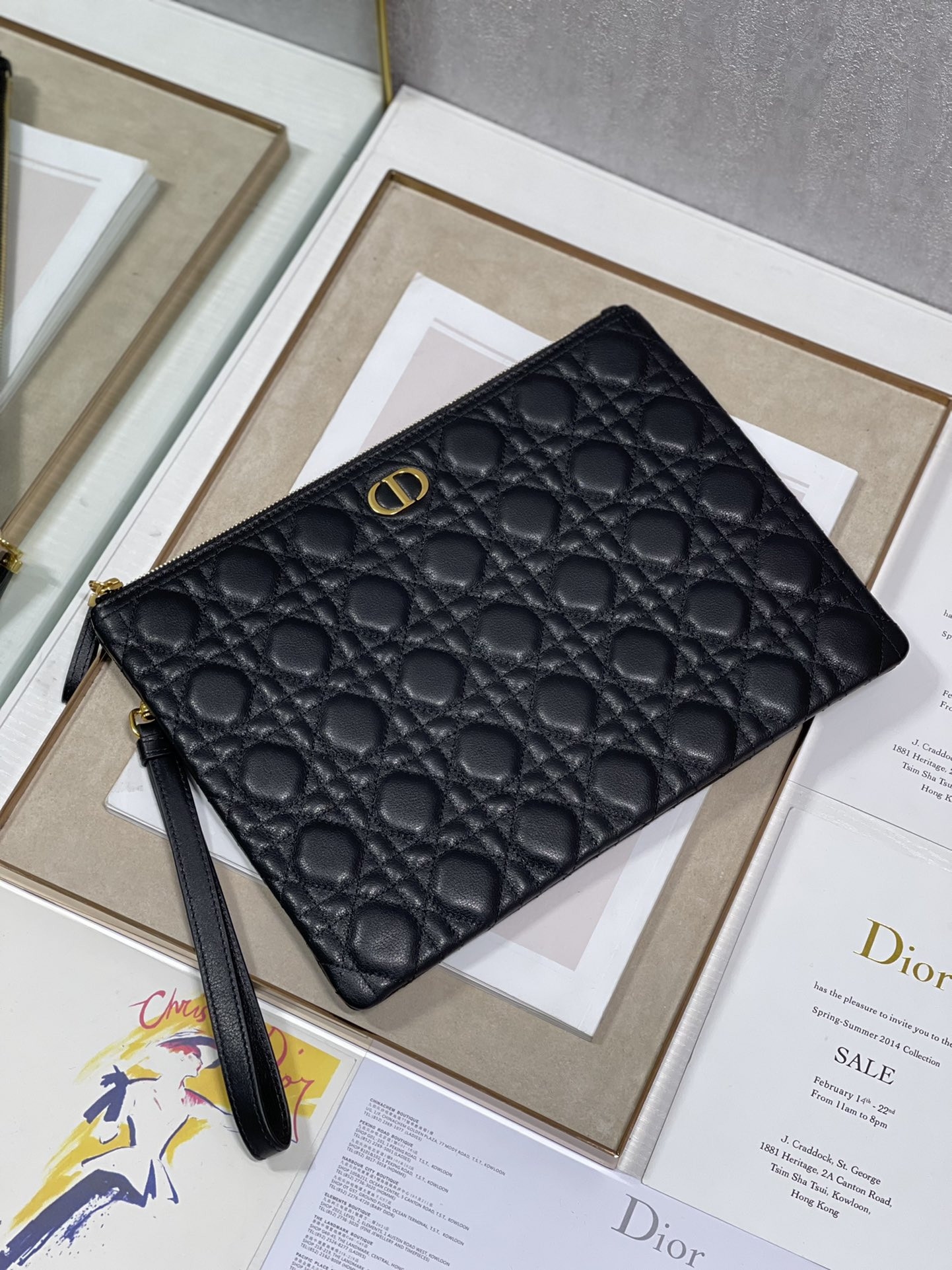 Large D10r Caro Daily Pouch