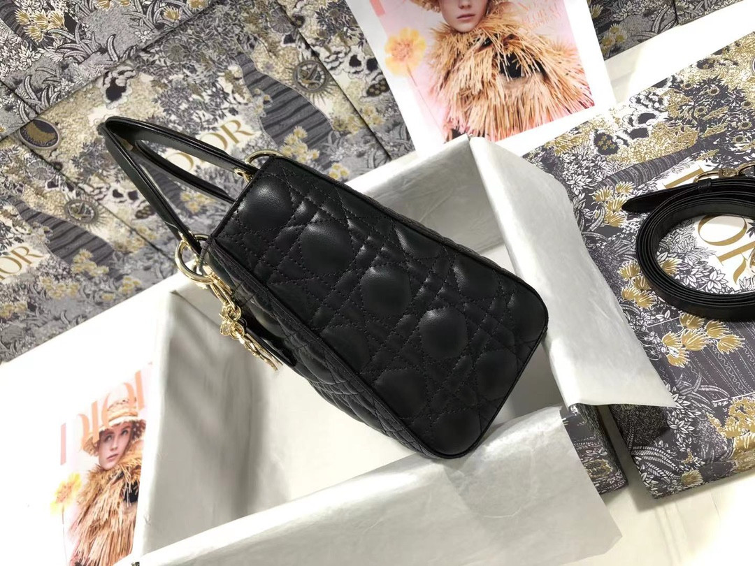Medium Lady D10r Bag