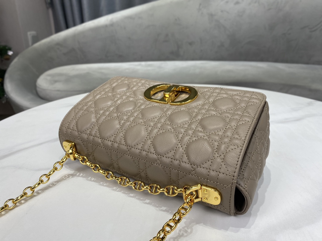 Medium D10r Caro Bag