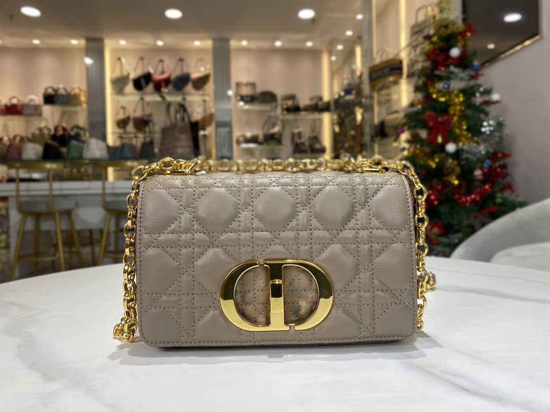 Small D10r Caro Bag