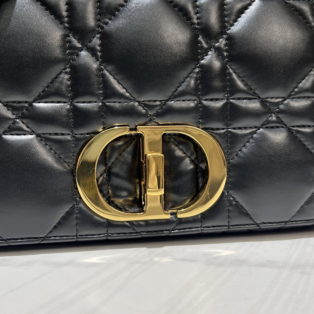 Medium D10r Caro Bag