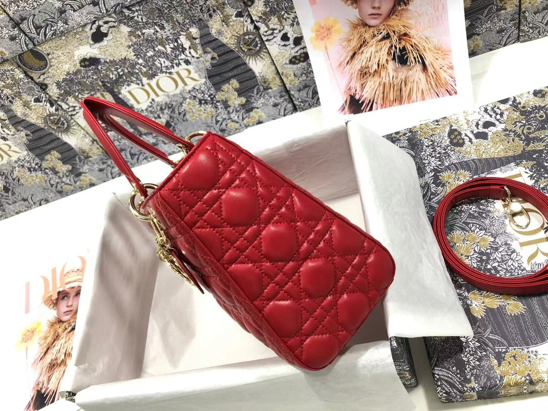 Medium Lady D10r Bag