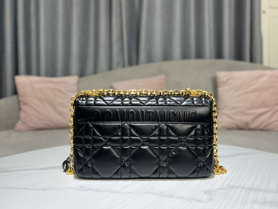 Medium D10r Caro Bag