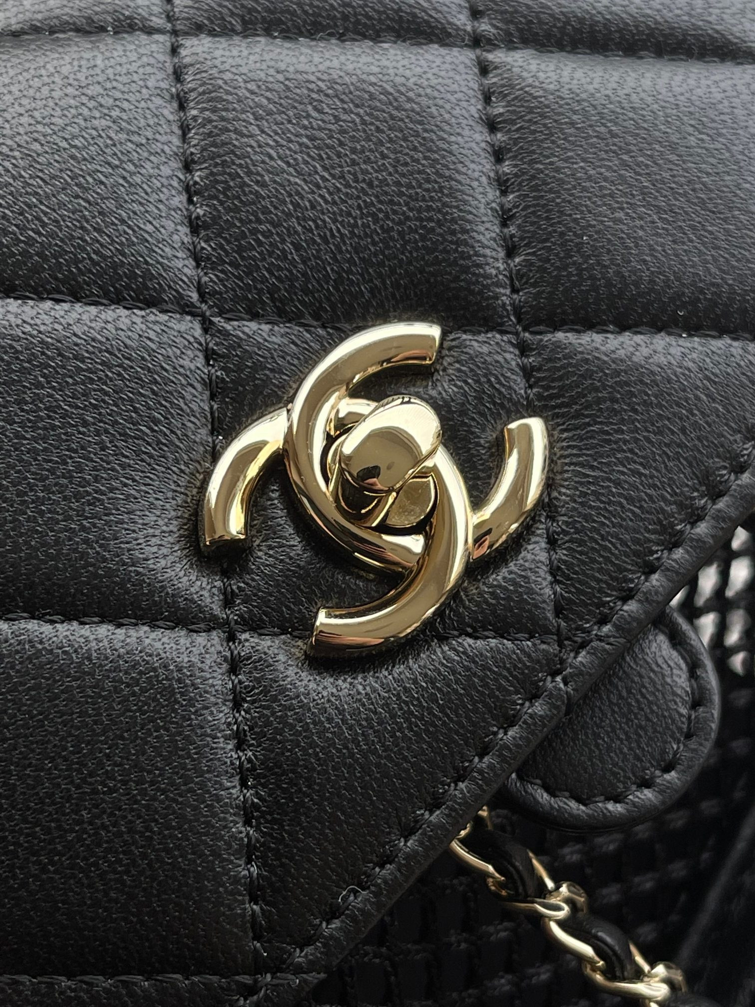 Ch**el 25s Backpack