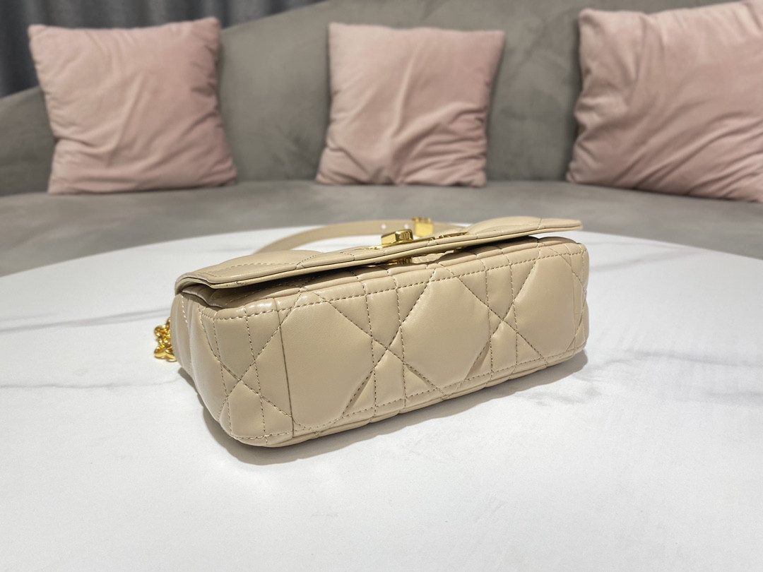 Small D10r Caro Bag
