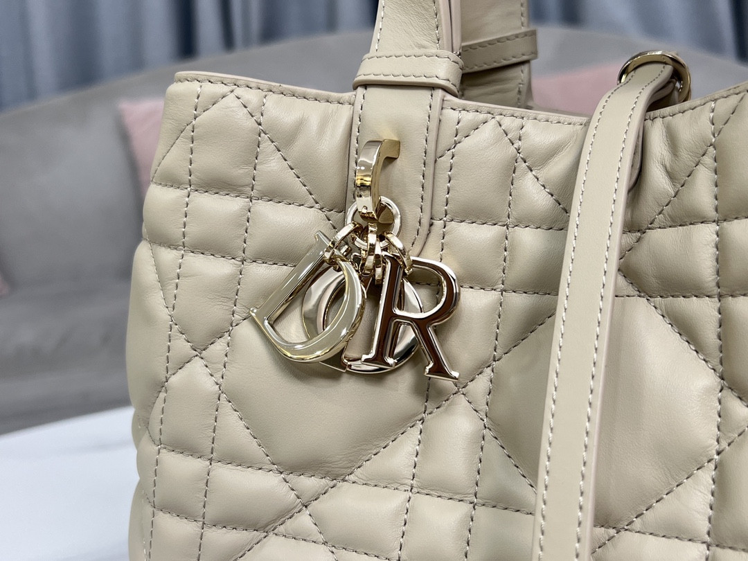 D10r Toujours Bag