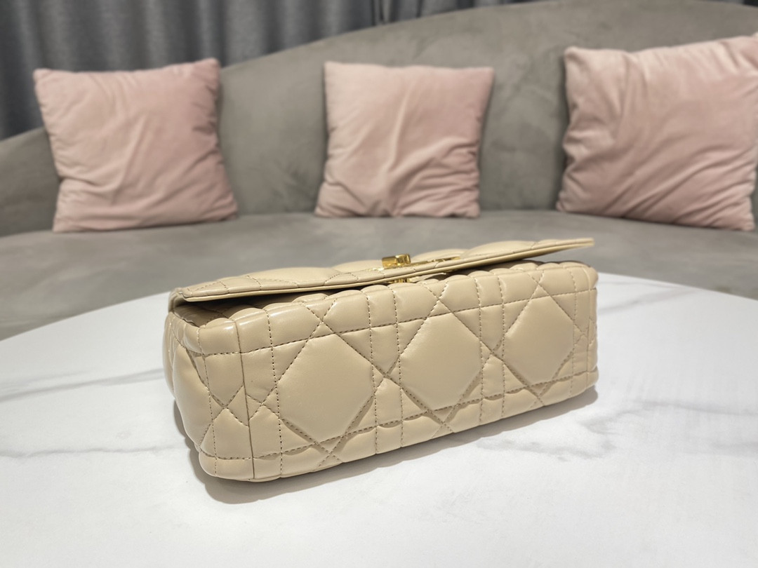 Medium D10r Caro Bag