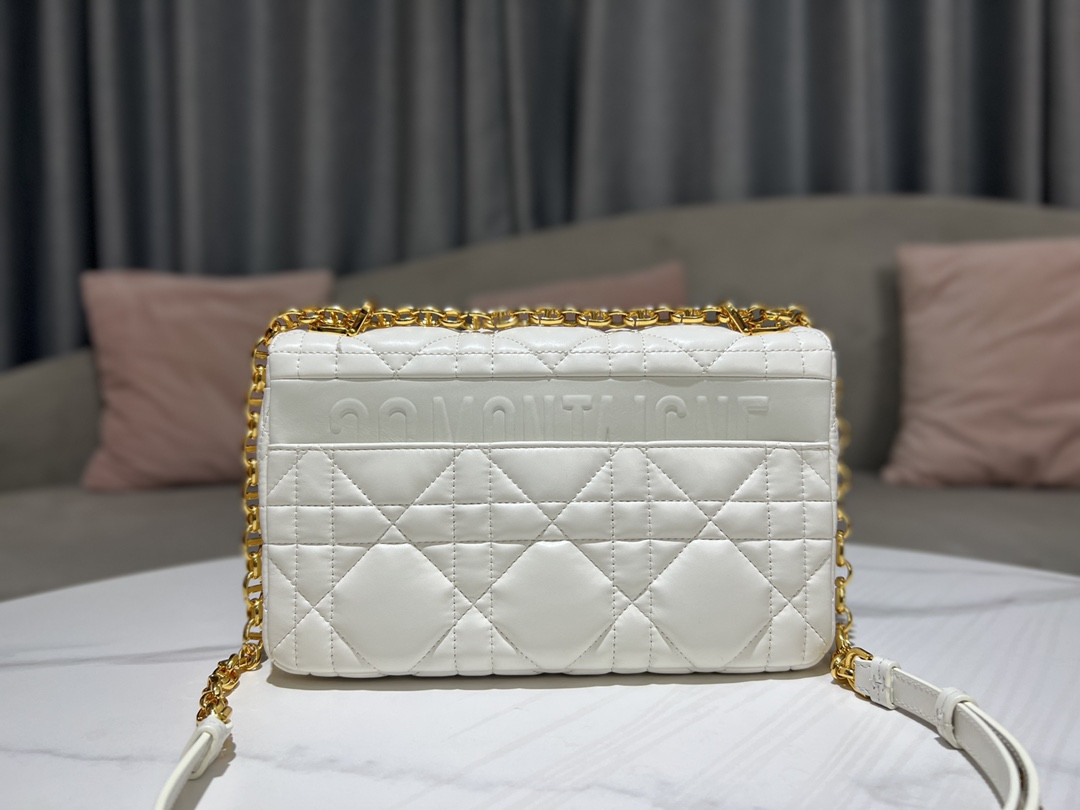 Medium D10r Caro Bag