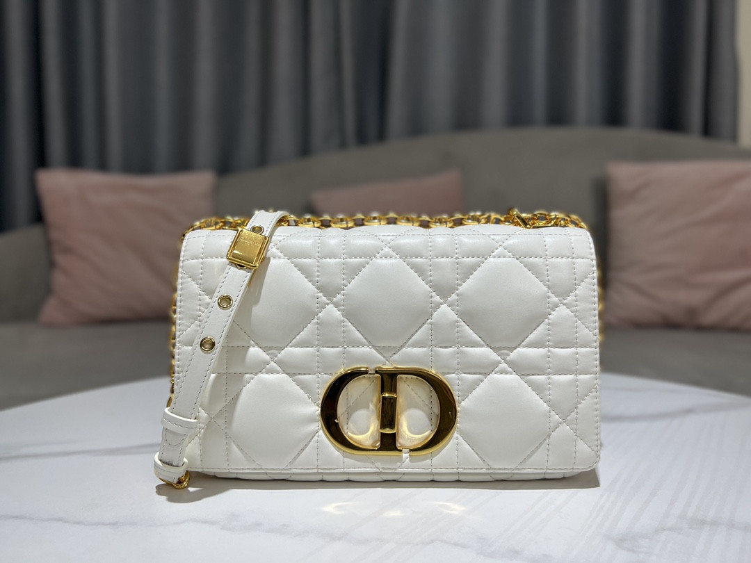Medium D10r Caro Bag