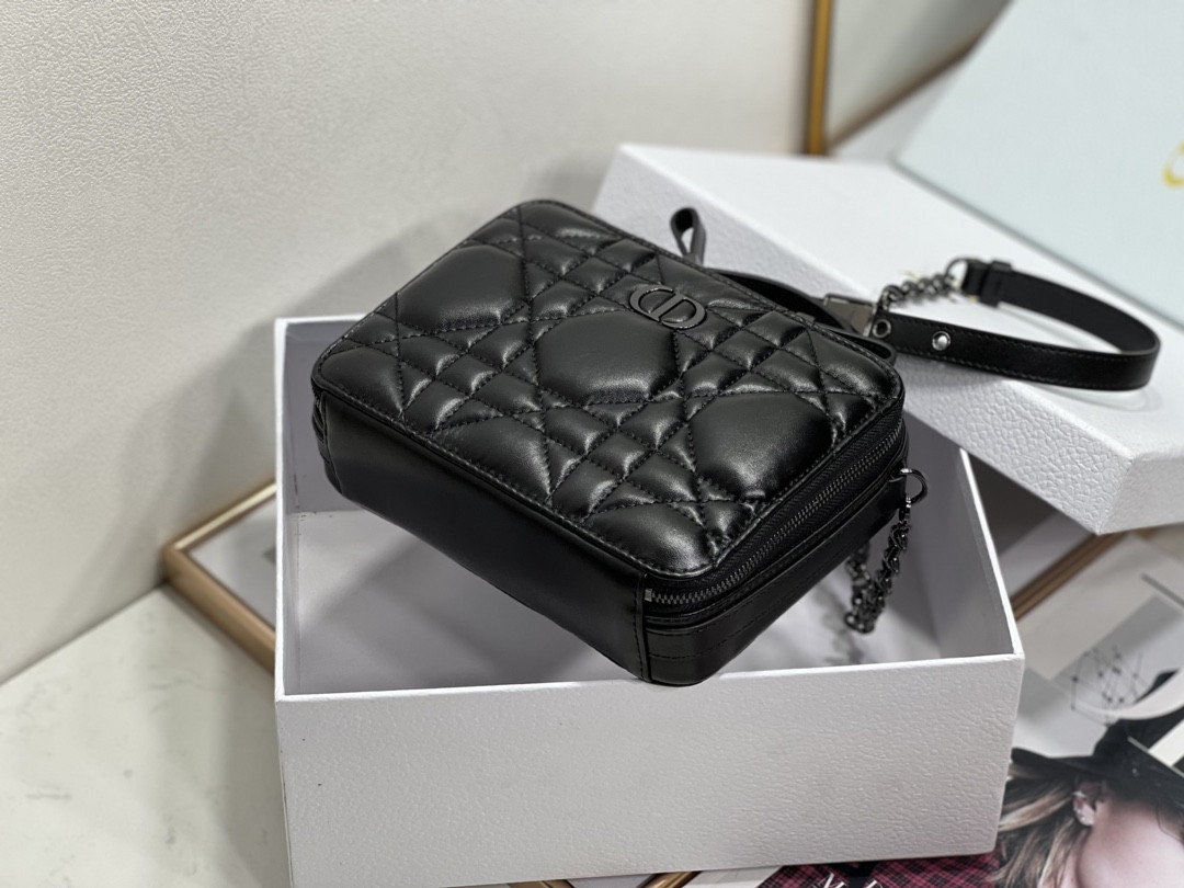D10r Caro Box Bag