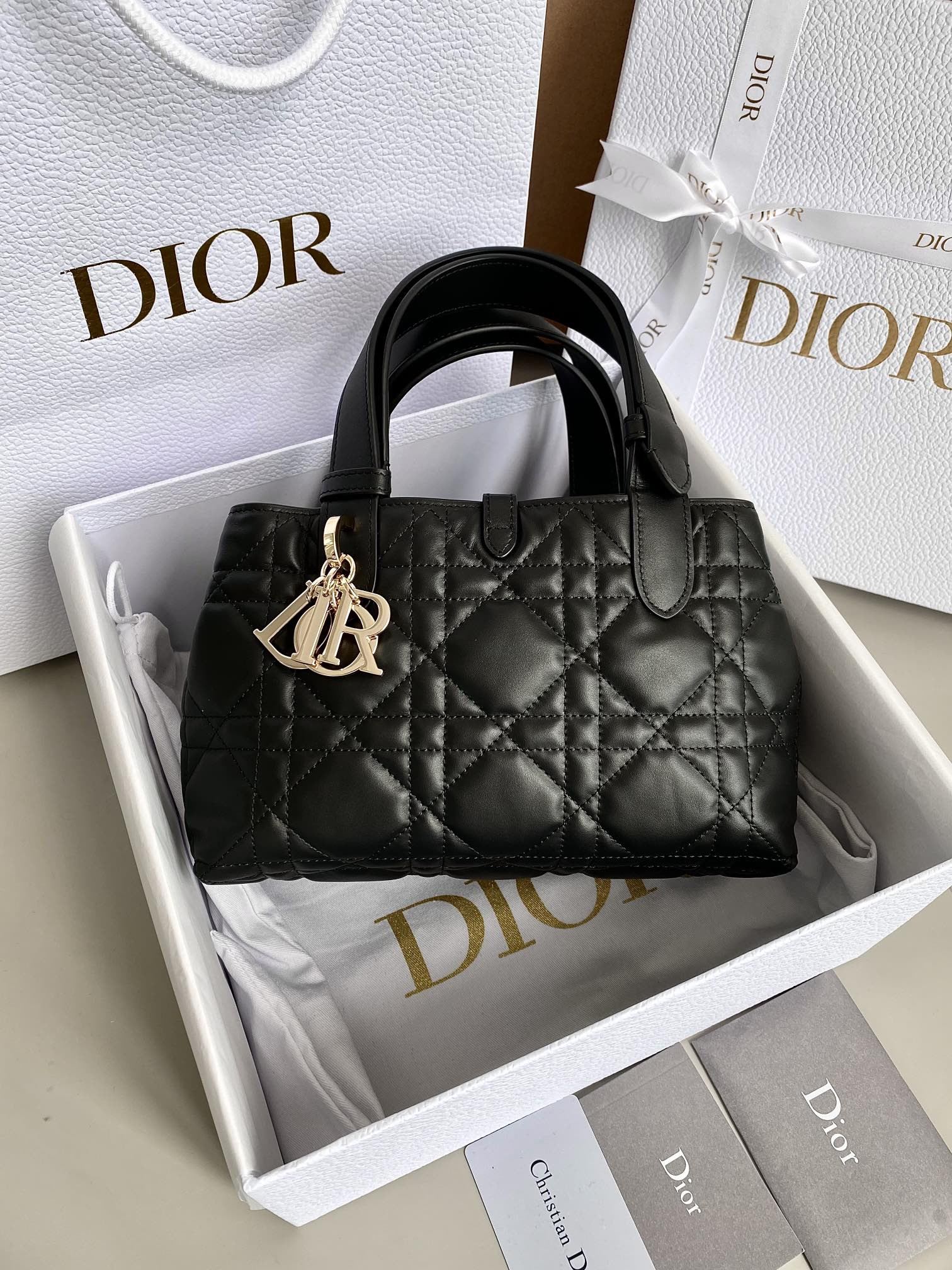 D10r Toujours Bag