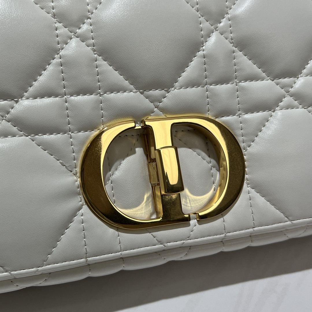 Medium D10r Caro Bag