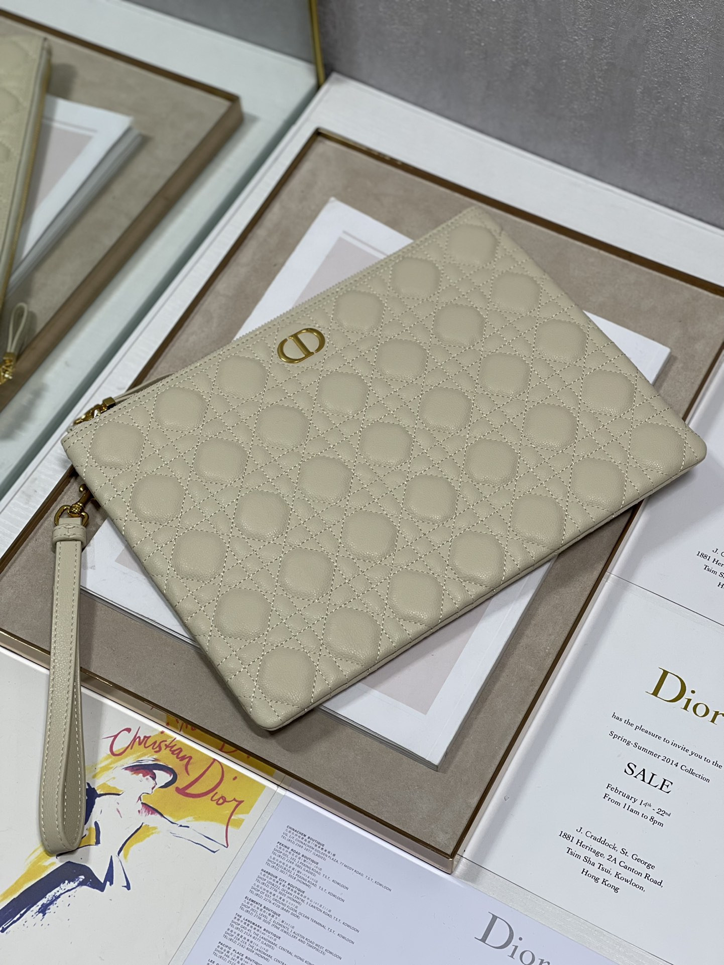 Large D10r Caro Daily Pouch