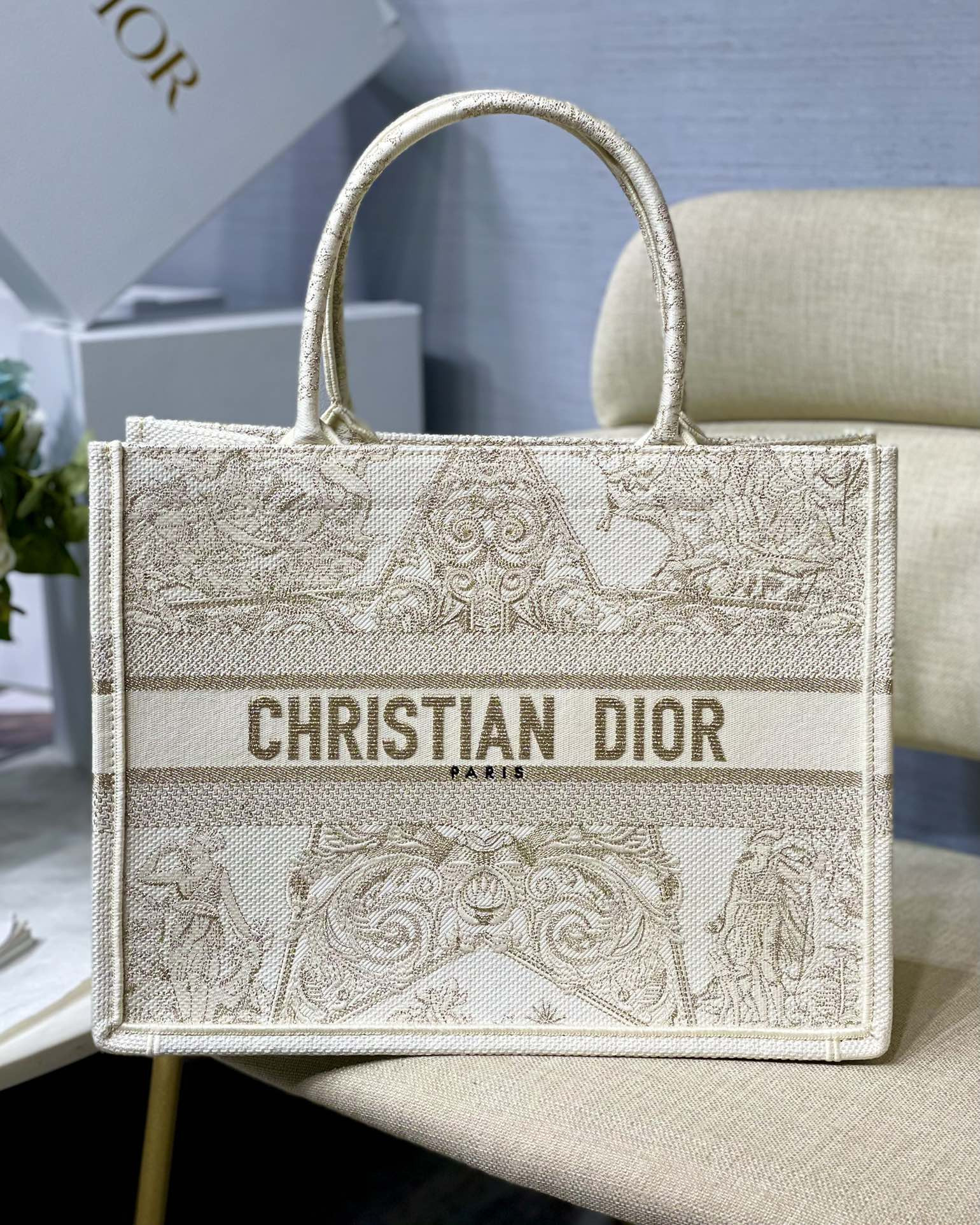 Medium D10r Book Tote