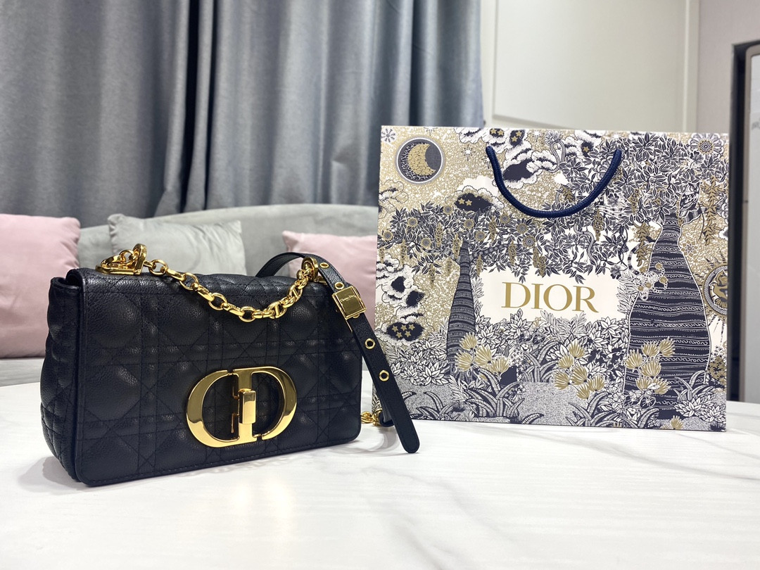 Small D10r Caro Bag