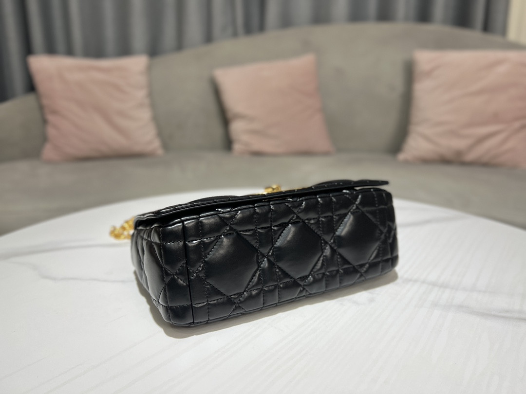 Medium D10r Caro Bag