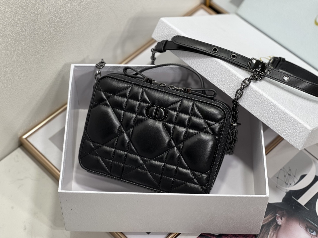 D10r Caro Box Bag