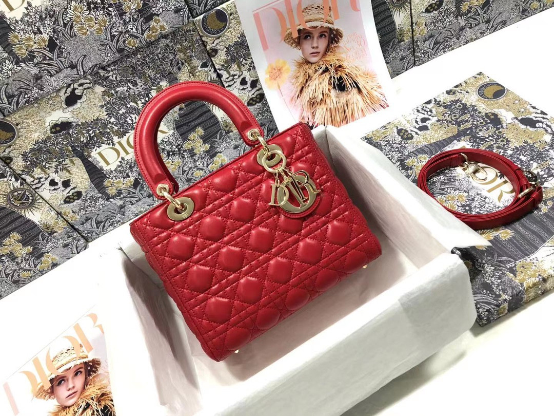Medium Lady D10r Bag