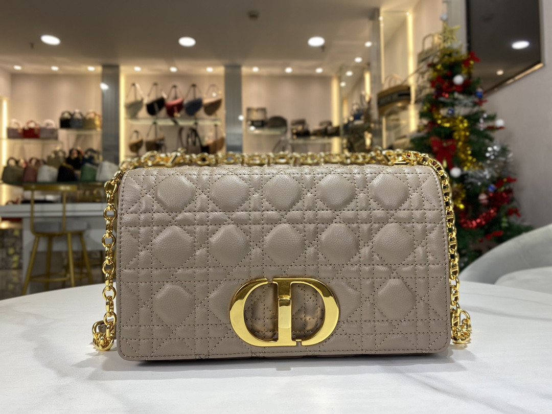 Medium D10r Caro Bag
