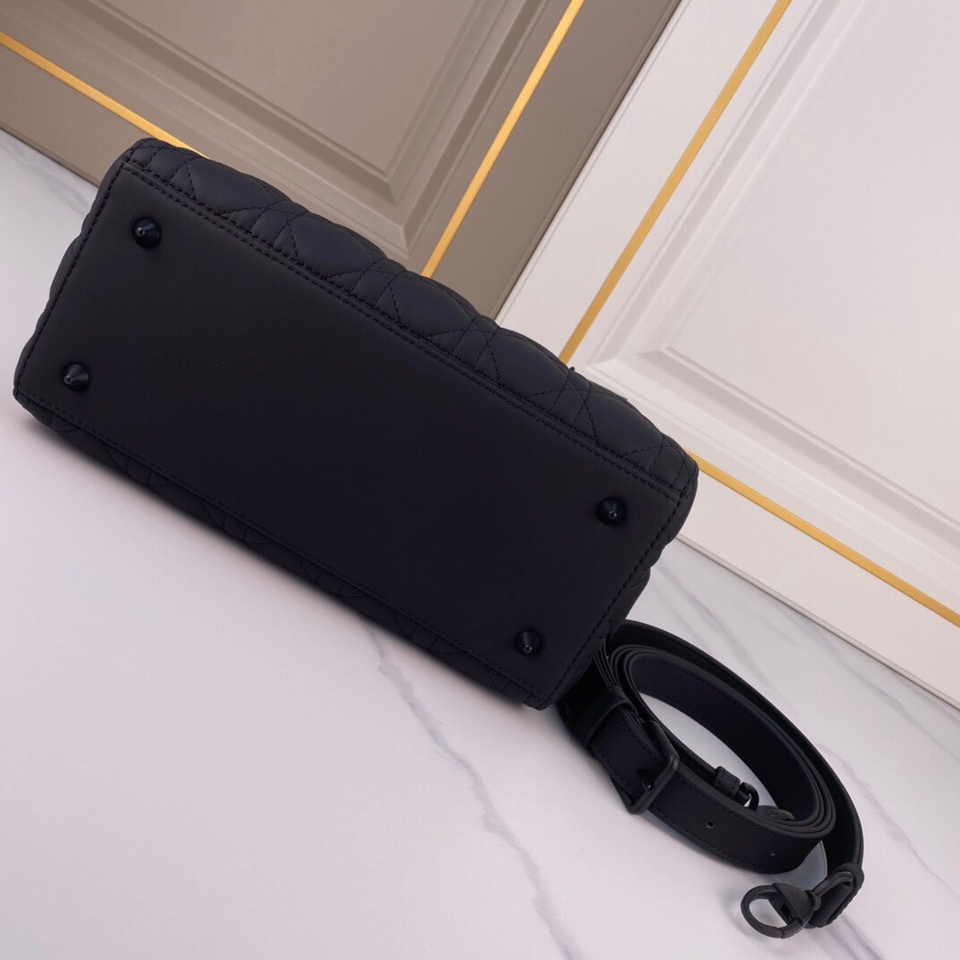 Medium Lady D10r Bag