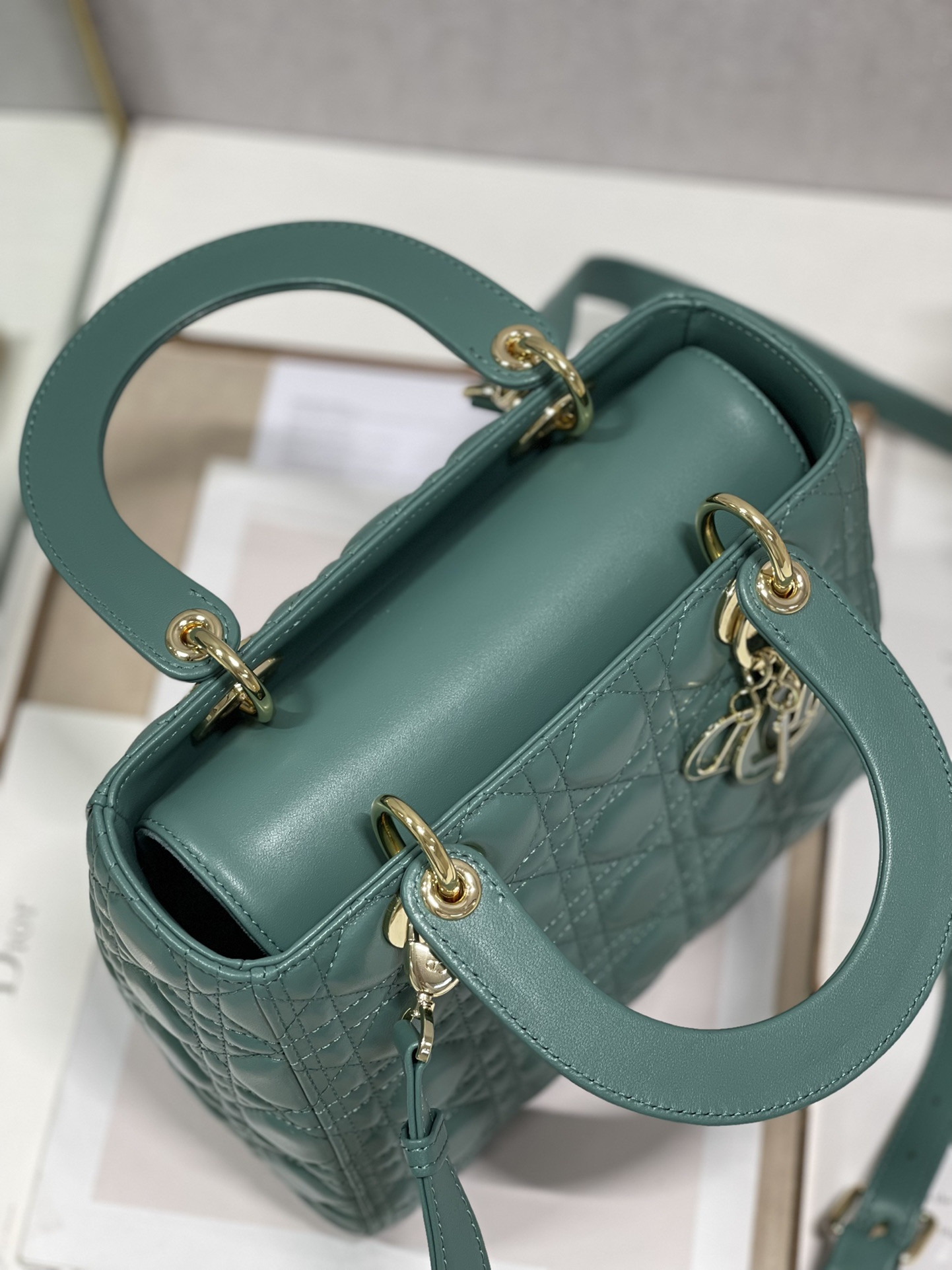Medium Lady D10r Bag