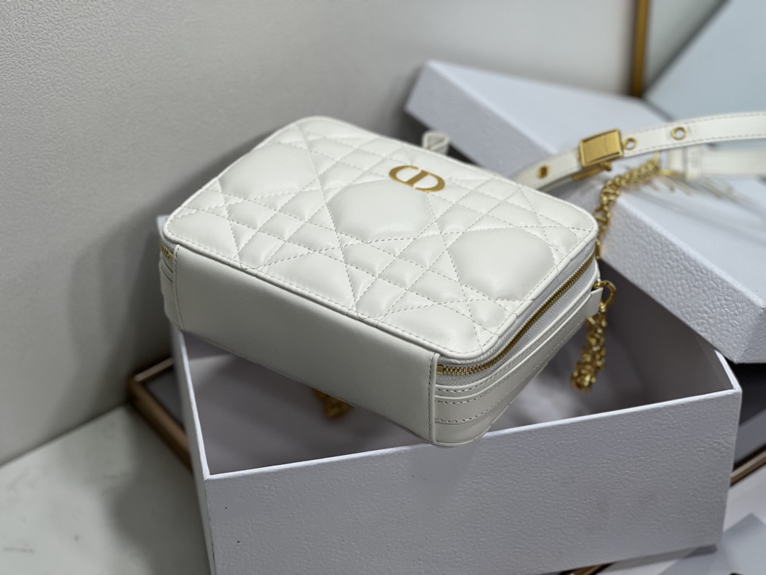 D10r Caro Box Bag